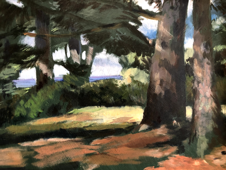 Arago South Cove