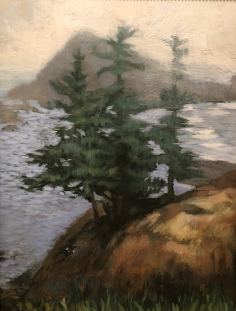Cape Arago, Middle Cove