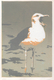 Complaint, Linocut 2007