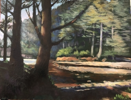 Cummins Creek Afternoon