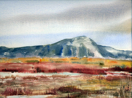 Klamath Marsh, November 2008