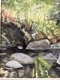 Litha creek 3pm