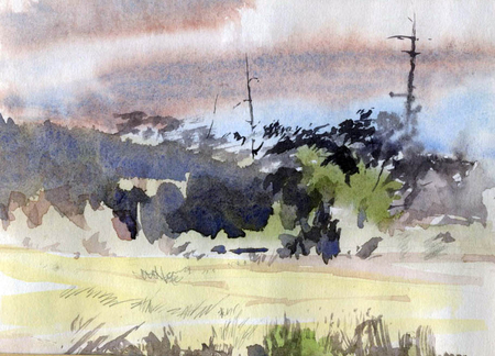 Meadow