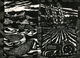 Oregon, Llinocut,  2007
