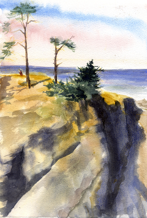 Shore acres cliff
