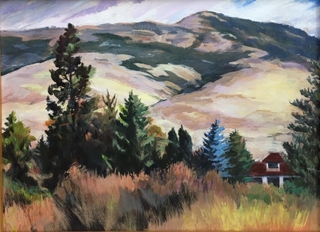 Tolman Creek View