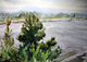 Yaquina View I